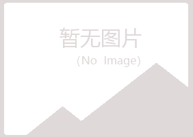 临河夏青化学有限公司